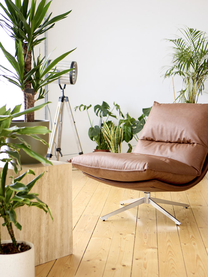 The Loft daylight studio